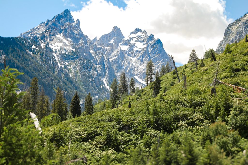 Grand Teton National Park, Wyoming