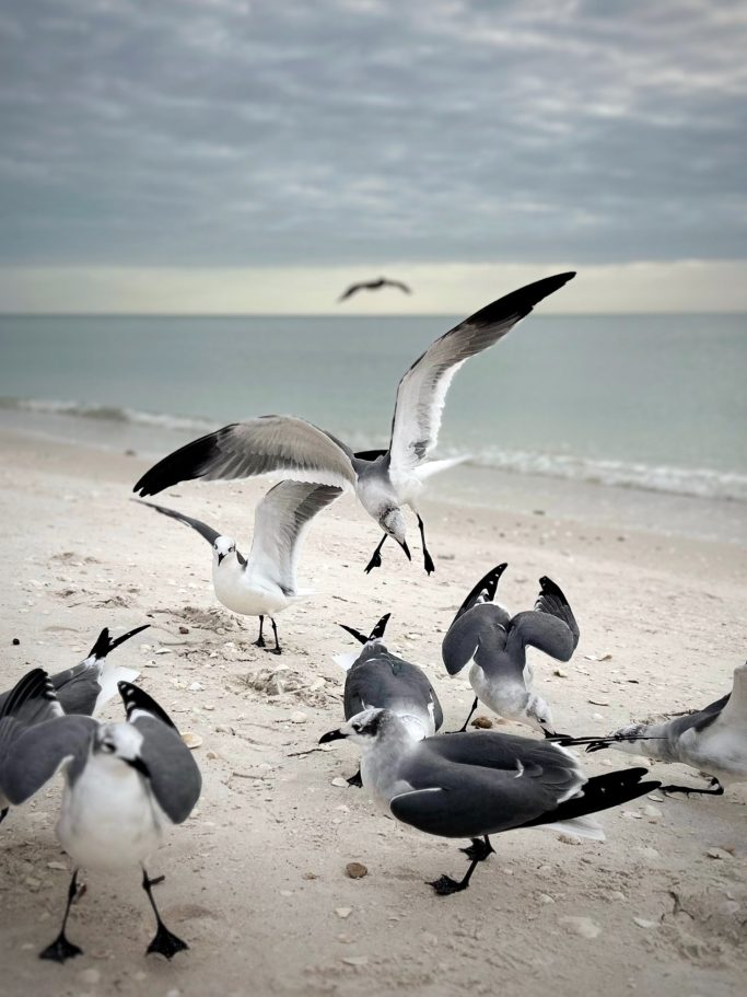 Bonita Springs, Florida